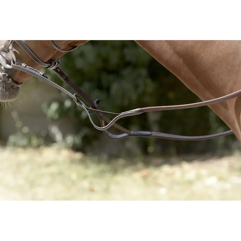 renes-elastiques (4).webp