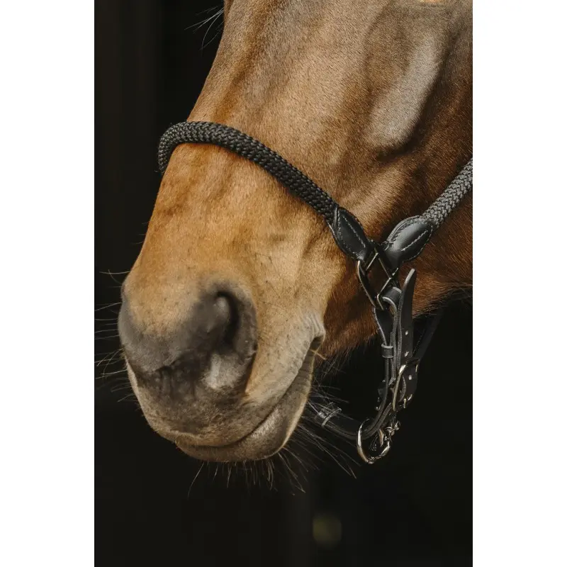 licol-cuir-corde-norton (1).webp