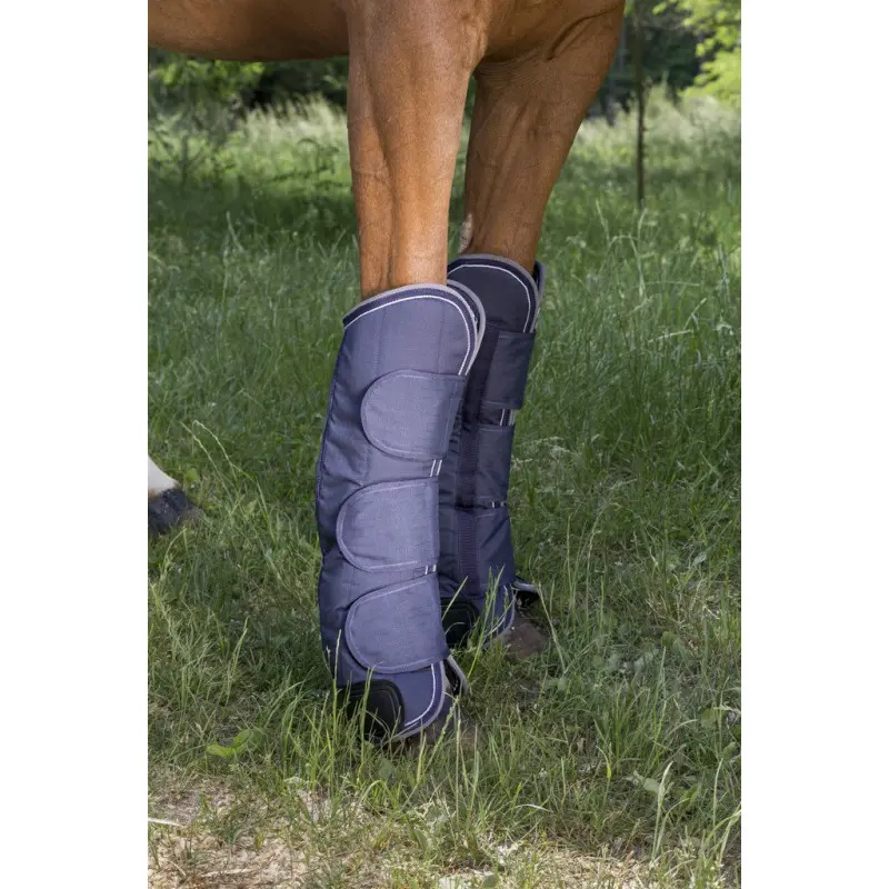 guetres-de-transport-equitheme-tyrex-600-d-renforce (2).webp