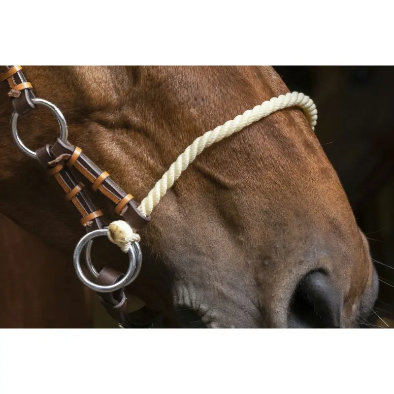 side-pull-norton-pro-corde.webp