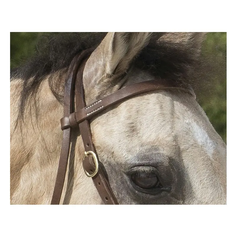 bridon-westride-by-franck-perret-colorado (1).webp