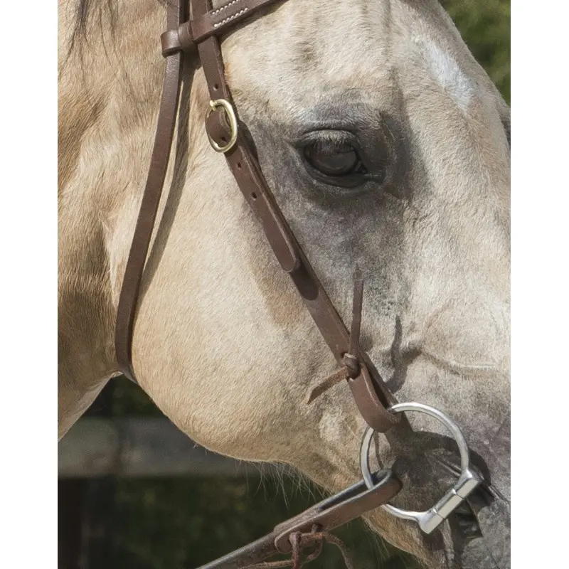 bridon-westride-by-franck-perret-colorado (2).webp