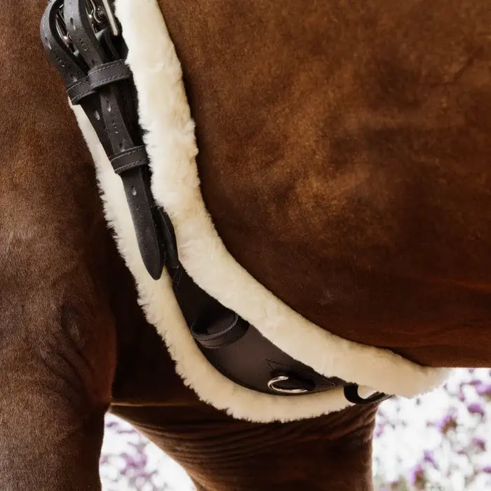 KENTUCKY_HORSEWARE_-_Sangle_anatomique_courte_mouton_noir_1_74d082fe-27ff-4bcc-b50a-ee11c7023920.webp