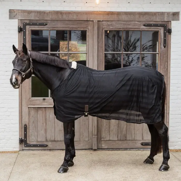 KENTUCKY_HORSEWARE_-_Couverture_anti-mouches_legere_rayee_noir_1_60123bce-eb3f-4119-82a3-1d316f93ec81.webp