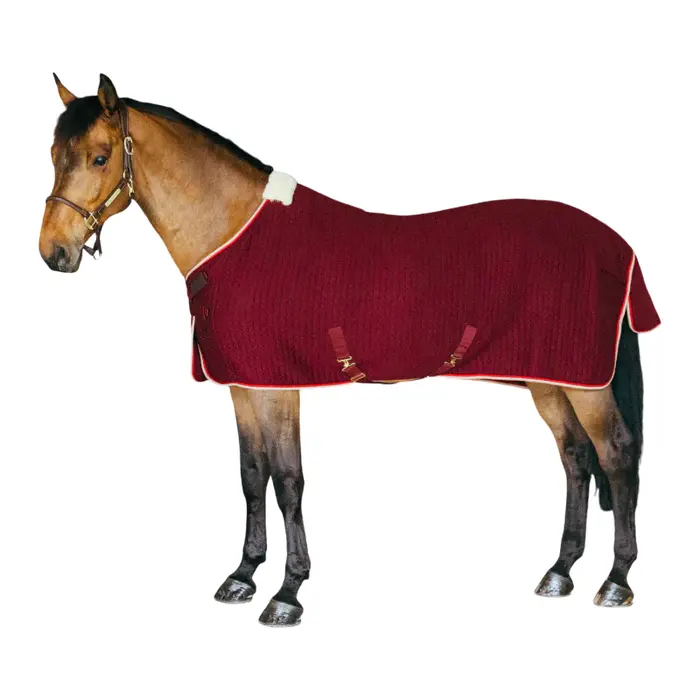 KENTUCKY_-_Chemise_sechante_Protherm_bordeaux_1_4ee9c04b-72ca-4ff7-9092-2c77c0e4ac2e.webp
