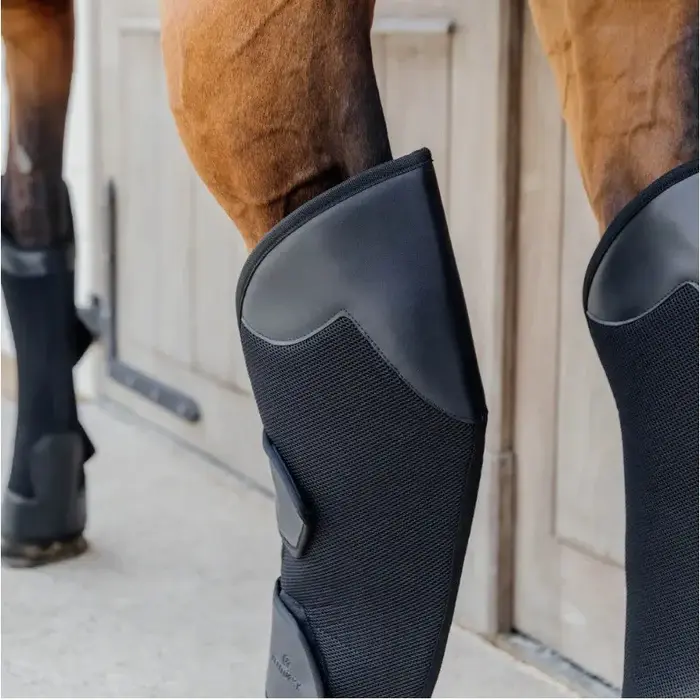 KENTUCKY_HORSEWARE_-_Protections_de_transport_posterieurs_x2_1_1adcc2e9-f011-4cb6-a639-fb579bc1e2dc.webp