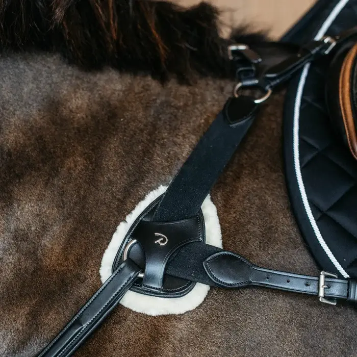 DYON_-_Pad_de_protection_en_peau_de_mouton_vegan_pour_collier_de_chasse_5_points_New_English_collection_noir_1_cd34487f-9986-49d3-8887-8022245d2acf.webp
