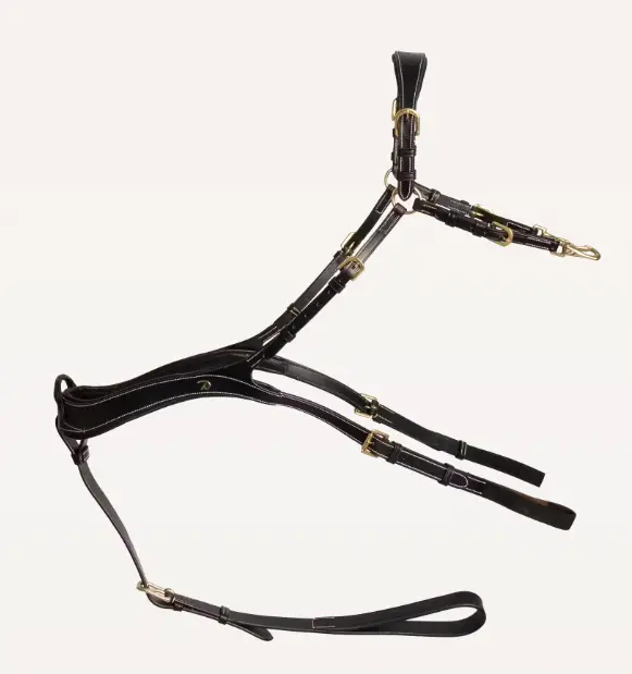 Capture d’écran 2025-09-22 160124.webp