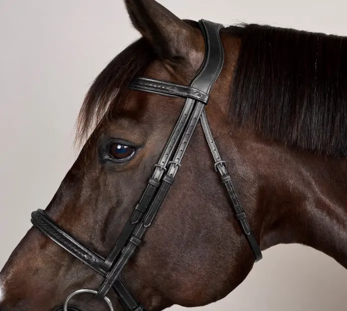 Capture d’écran 2025-10-06 144035.webp