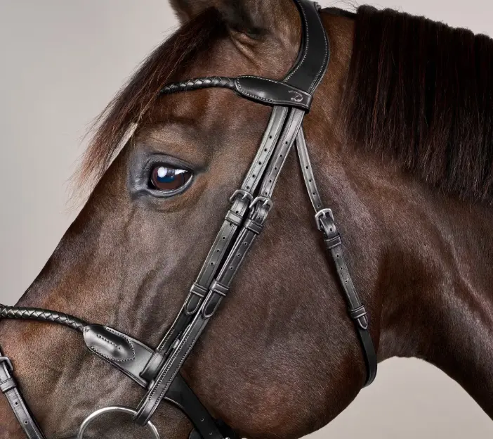 Capture d’écran 2025-10-06 145016.webp