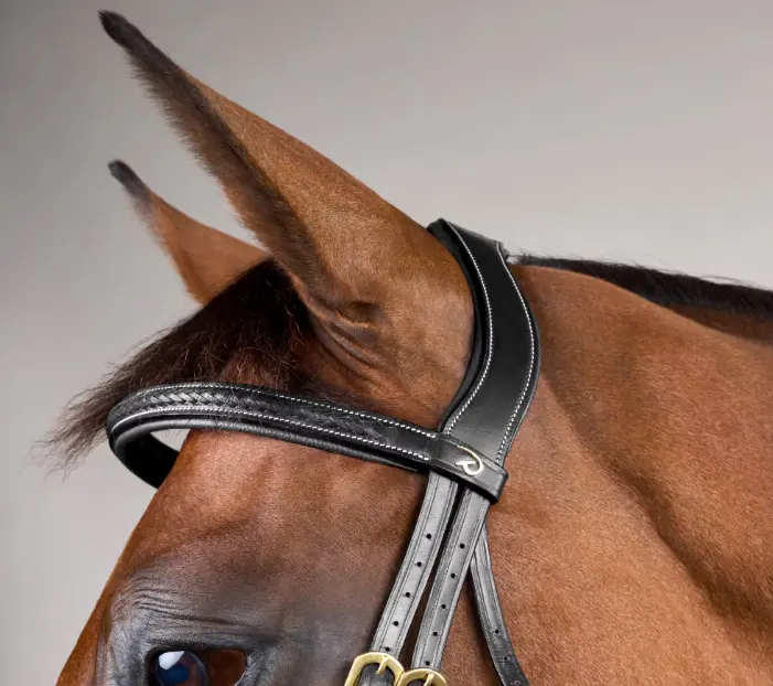 Capture d’écran 2025-10-06 145916.webp