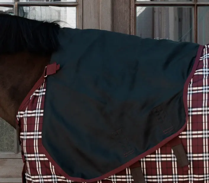 Capture d’écran 2025-10-06 160250.webp