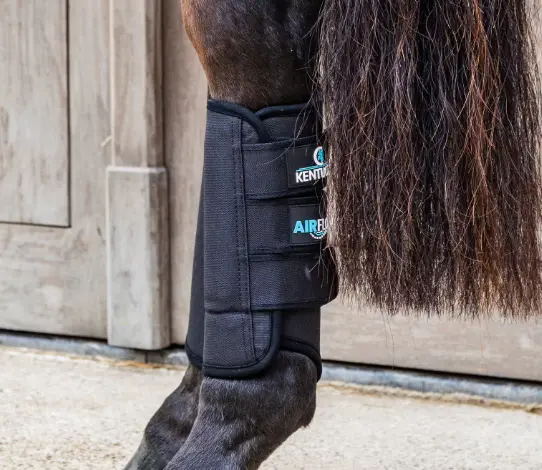 Capture d’écran 2025-10-06 170156.webp