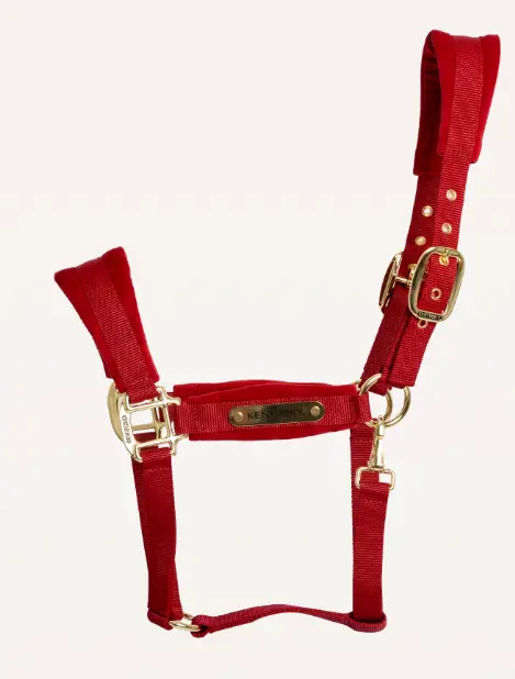 Capture d’écran 2025-10-13 172434.webp