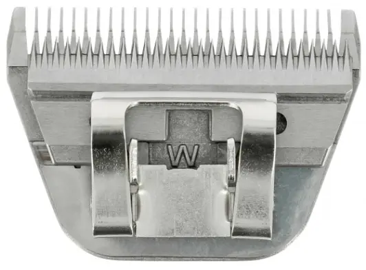 Capture d’écran 2025-10-20 144158.webp