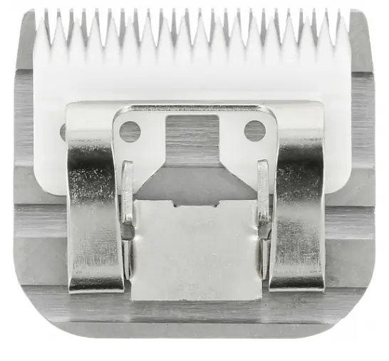 Capture d’écran 2025-10-20 144448.webp