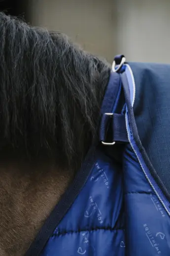 Capture d’écran 2025-10-20 152031.webp