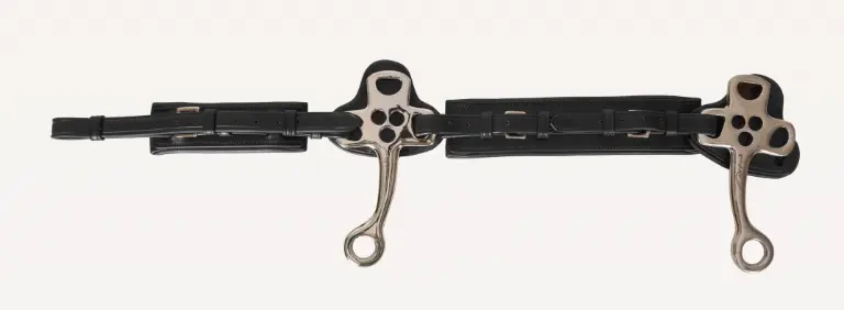 Capture d’écran 2025-11-03 155333.webp