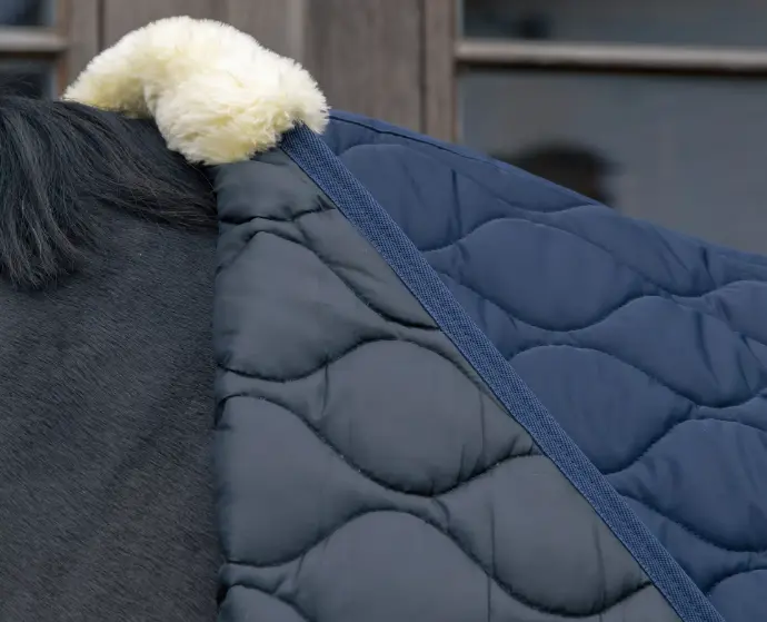 Capture d’écran 2025-11-03 164351.webp