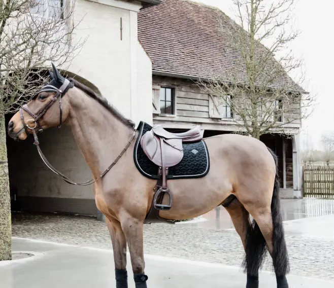 Capture d’écran 2025-11-10 144607.webp