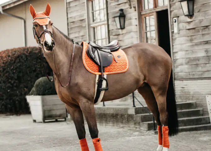 Capture d’écran 2025-11-10 154902.webp