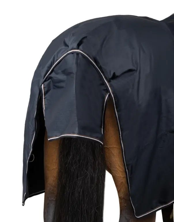 Capture d’écran 2025-11-17 155941.webp