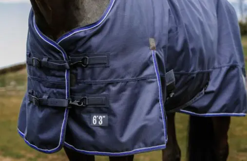 Capture d’écran 2025-11-17 174148.webp