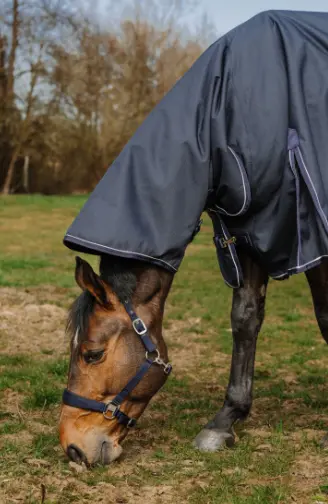 Capture d’écran 2025-11-28 145611.webp