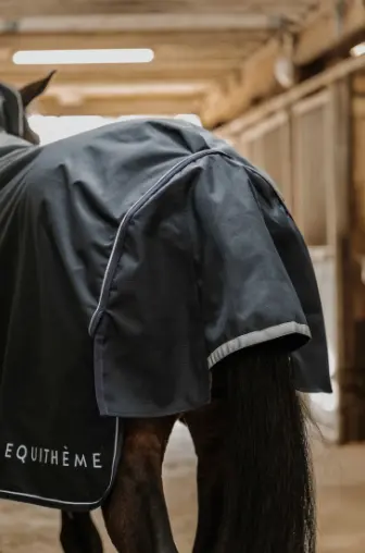 Capture d’écran 2025-11-28 145659.webp