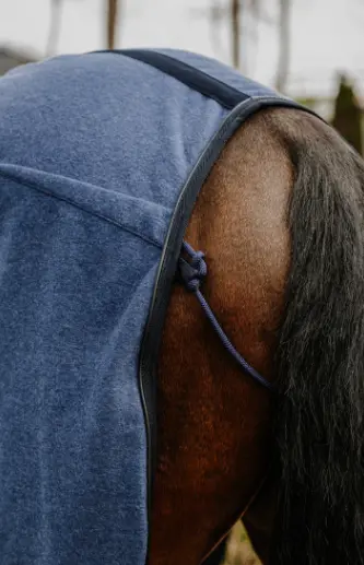 Capture d’écran 2025-11-28 155236.webp