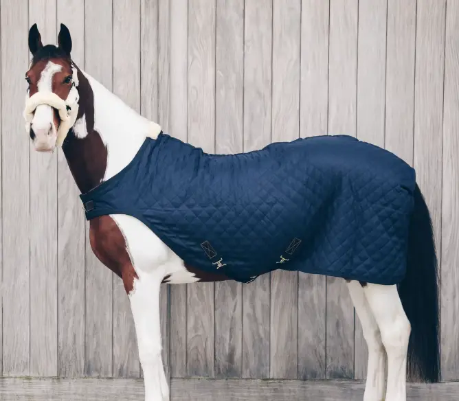 Capture d’écran 2025-12-05 120609.webp