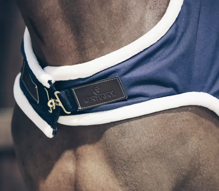 Capture d’écran 2025-12-05 121115.webp