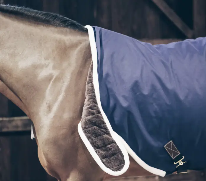 Capture d’écran 2025-12-05 121037.webp