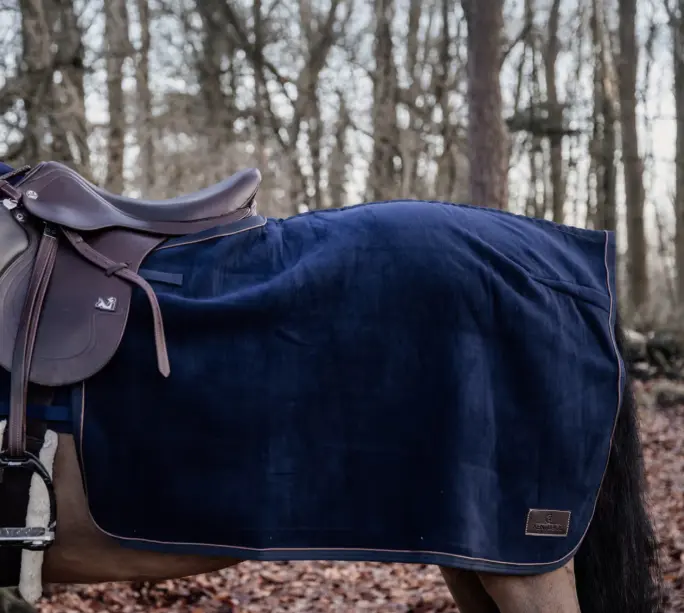 Capture d’écran 2025-12-05 122331.webp