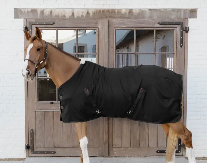 Capture d’écran 2025-12-05 135110.webp