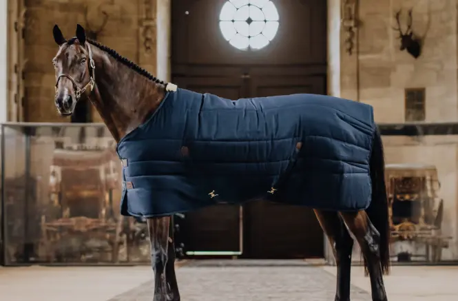 Capture d’écran 2025-12-05 142803.webp