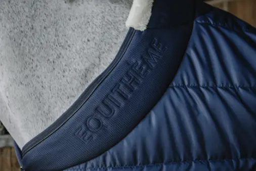 Capture d’écran 2025-12-12 154012.webp