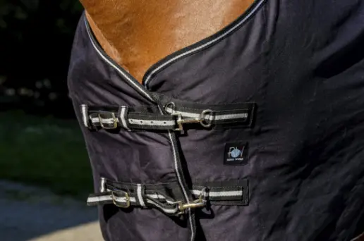 Capture d’écran 2025-12-12 160314.webp