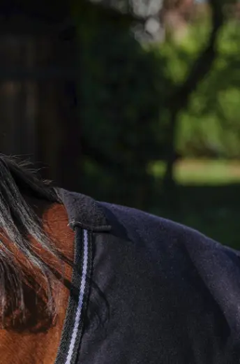 Capture d’écran 2025-12-12 160329.webp