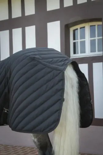 Capture d’écran 2025-12-12 162622.webp