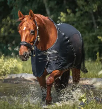 Capture d’écran 2025-12-23 114104.webp