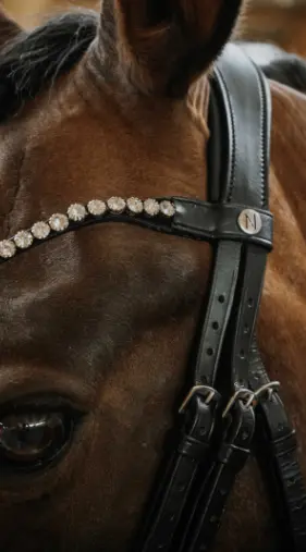 Capture d’écran 2025-12-23 121142.webp