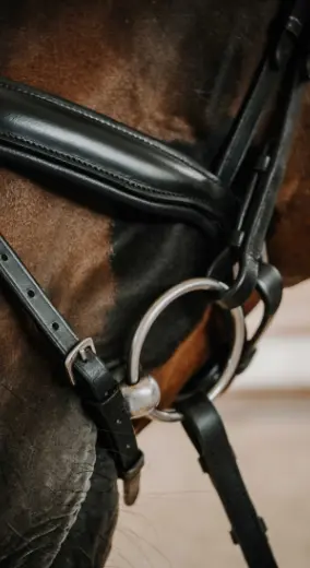 Capture d’écran 2025-12-23 121153.webp