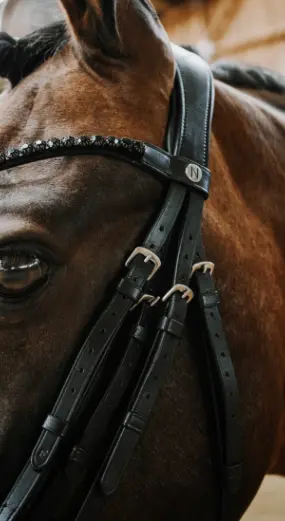 Capture d’écran 2025-12-23 122440.webp