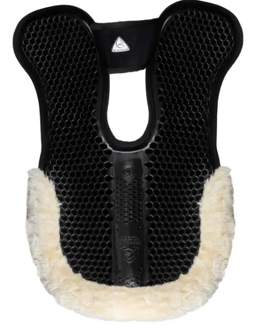 Capture d’écran 2026-01-22 140316.webp