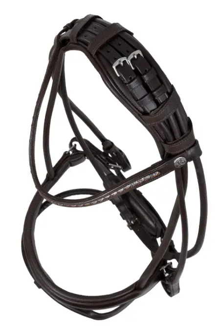 Capture d’écran 2026-01-22 140913.webp