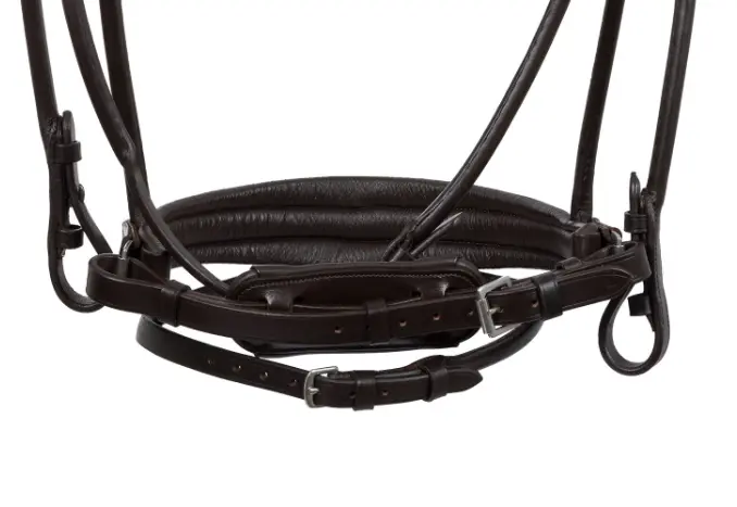 Capture d’écran 2026-01-22 140857.webp