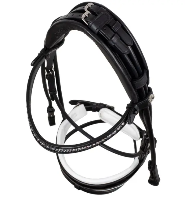 Capture d’écran 2026-01-22 141451.webp