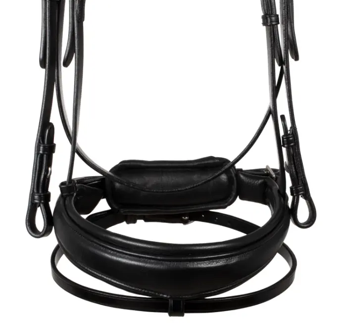 Capture d’écran 2026-01-22 142734.webp