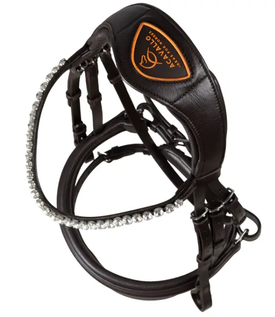 Capture d’écran 2026-01-22 143130.webp